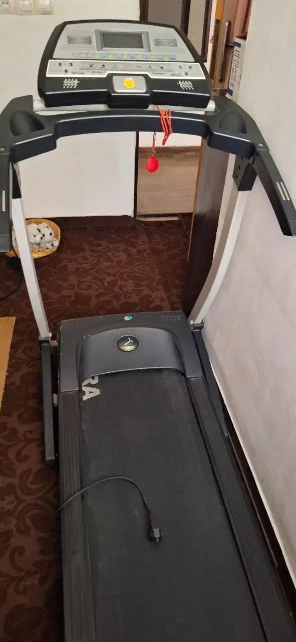 تردمیل|تجهیزات ورزشی|اهواز, کیانپارس |دیوار