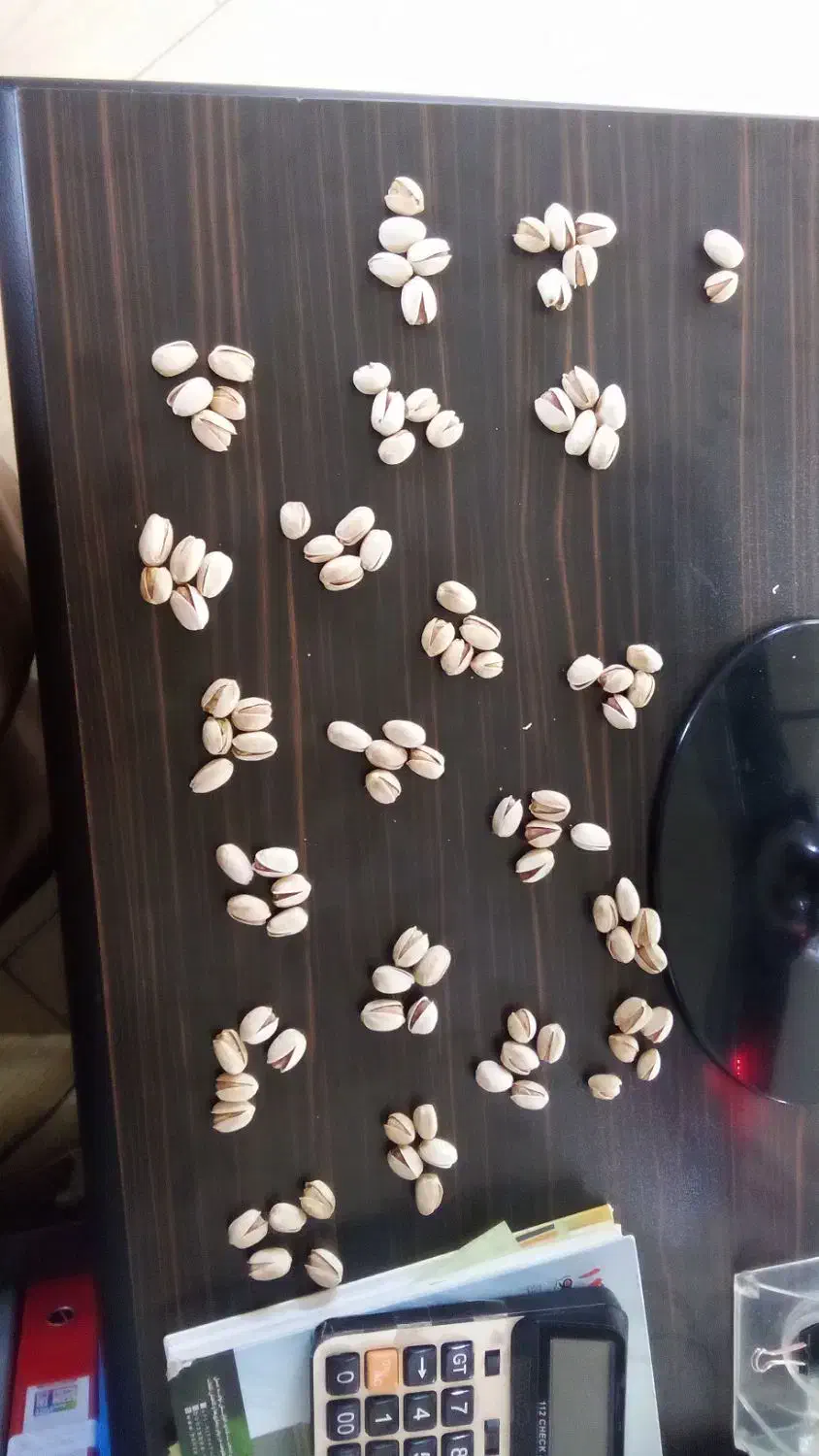 پسته کله قوچی ویژه عمده و خرده|خوردنی و آشامیدنی|قم, شهرک مهدیه|دیوار