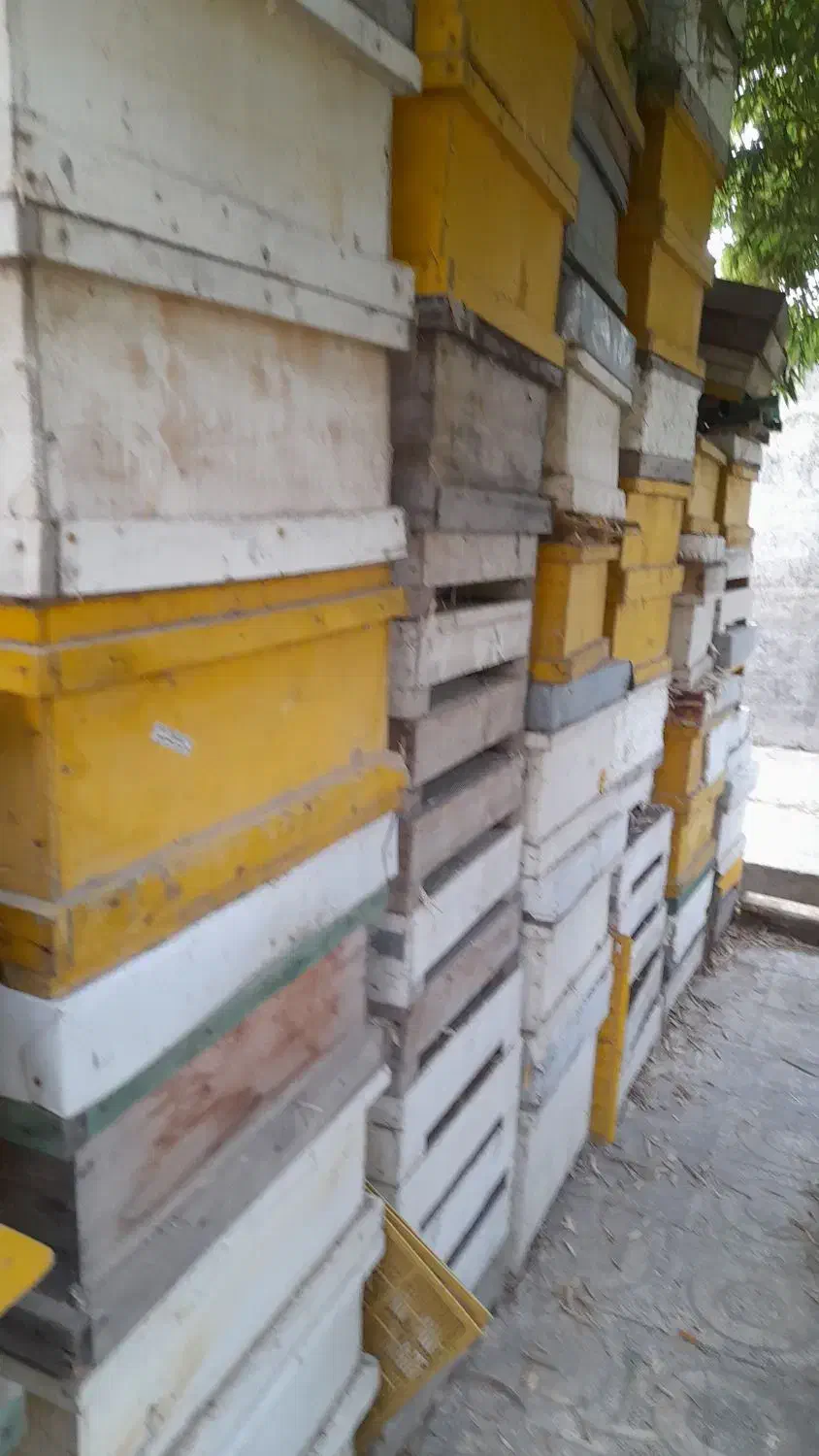 کندو زنبور عسل|لوازم جانبی حیوانات|مزرعه کتول, |دیوار