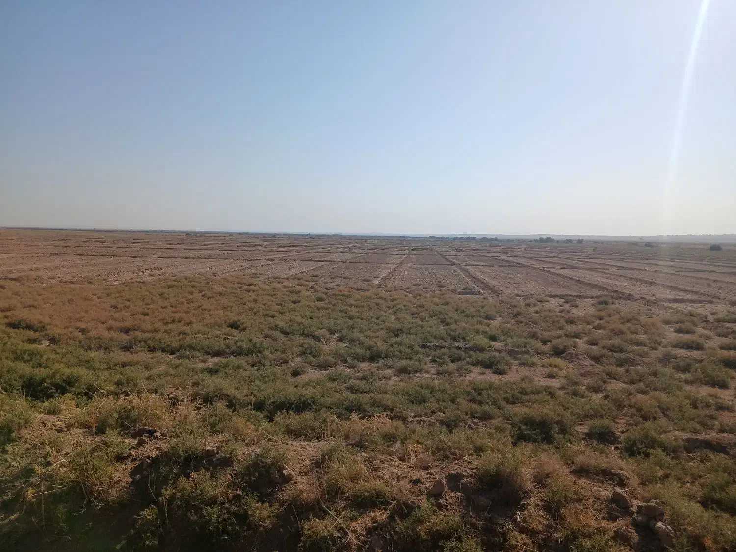 ۲۰ هکتار زمین کشاورزی آبیاری برای فروش|فروش دفتر صنعتی، کشاورزی، تجاری|اهواز, کمپلو جنوبی|دیوار