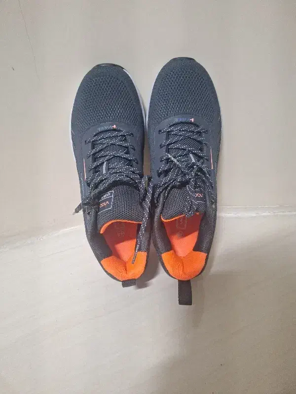 کتانی|کیف، کفش، کمربند|کرج, برغان|دیوار