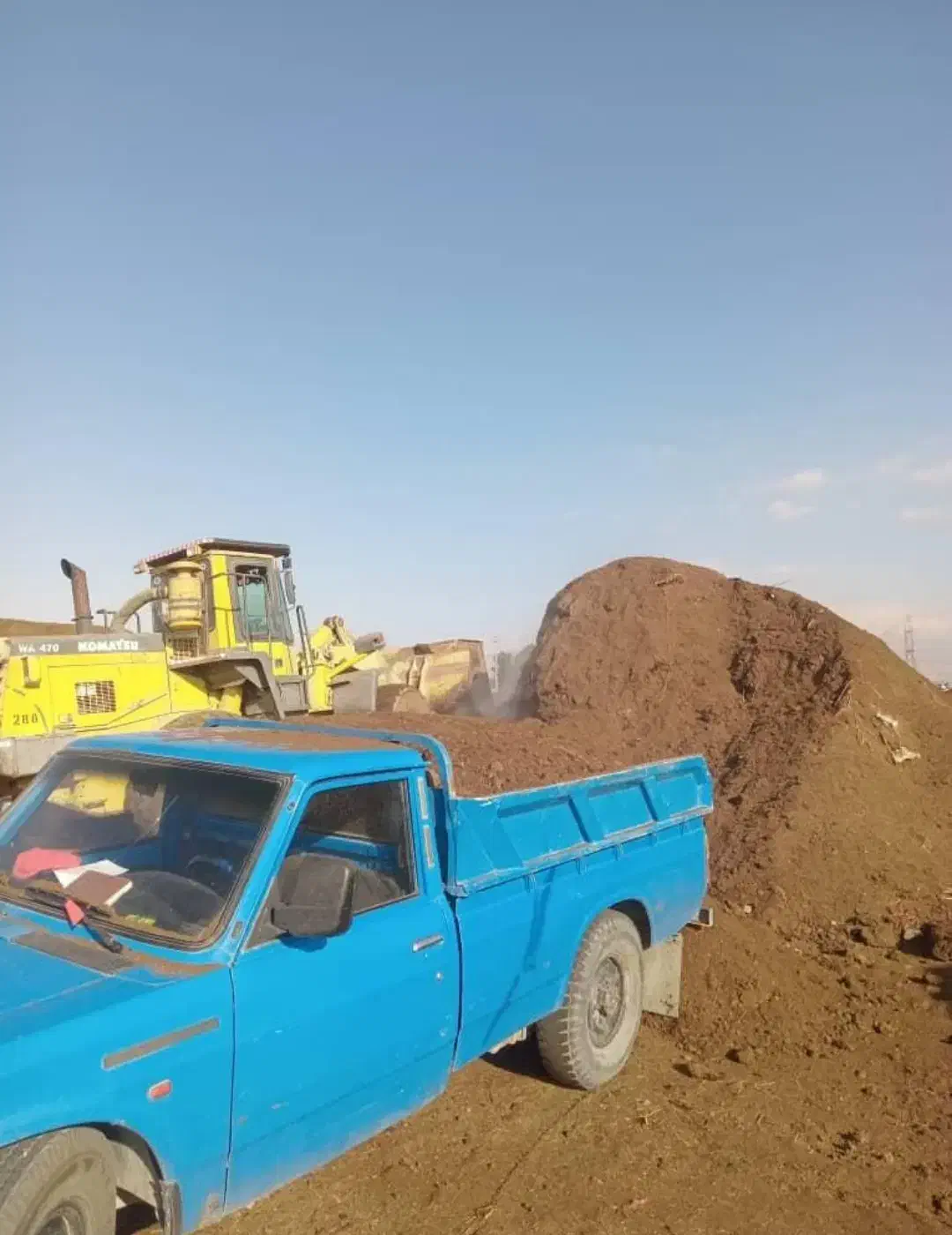 کود حیوانی رایگان|خدمات باغبانی و درختکاری|قم, علی آباد سعدگان|دیوار