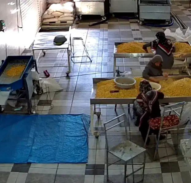 کارگر خانم در تفت|استخدام صنعتی، فنی، مهندسی|تفت, |دیوار