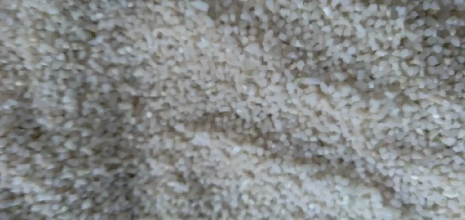 بزنج نیم دانه صدر هاشمی|عمدهفروشی|بروجرد, |دیوار