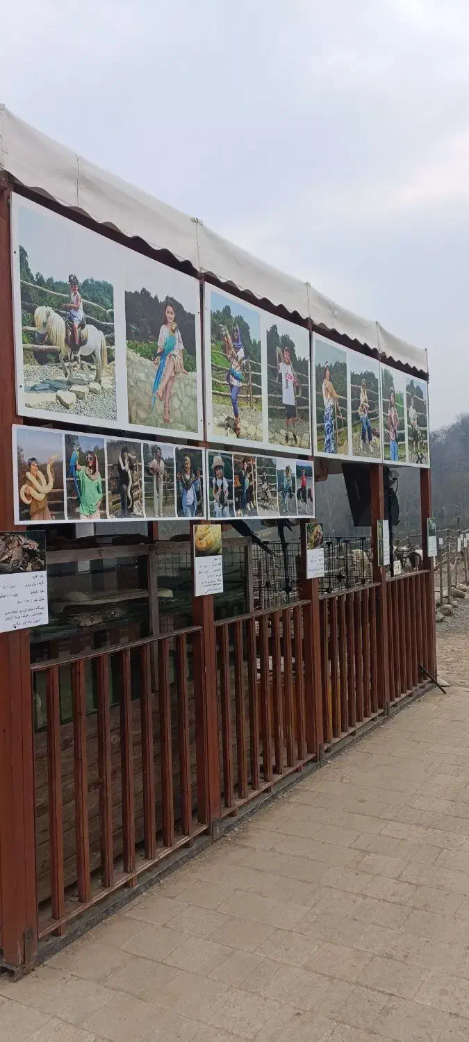 استخدام نیروی عکاس|استخدام هنری و رسانه|نور, |دیوار