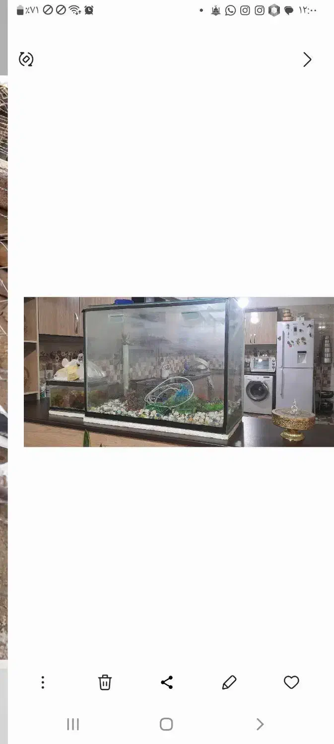 اکواریوم بزرگ و محکم|ماهی|بردسکن, |دیوار