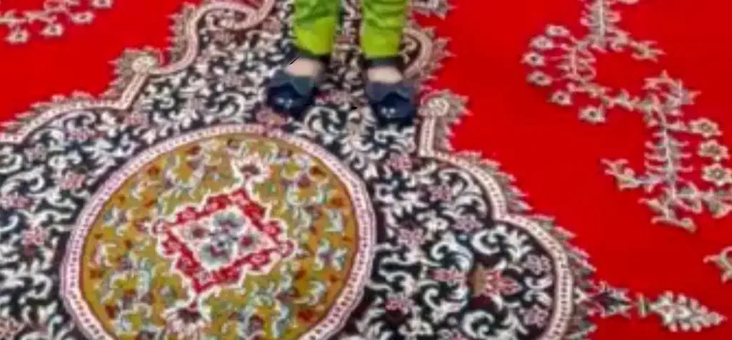 فرش|فرش|نی‌ریز, |دیوار