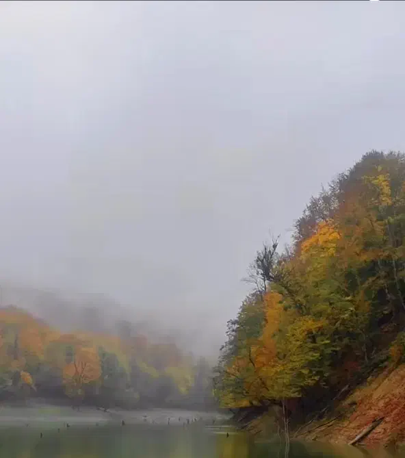 فروش زمین ۱۵۰ متری واقع در امیرکلا|فروش زمین و ملک کلنگی|امیرکلا, |دیوار