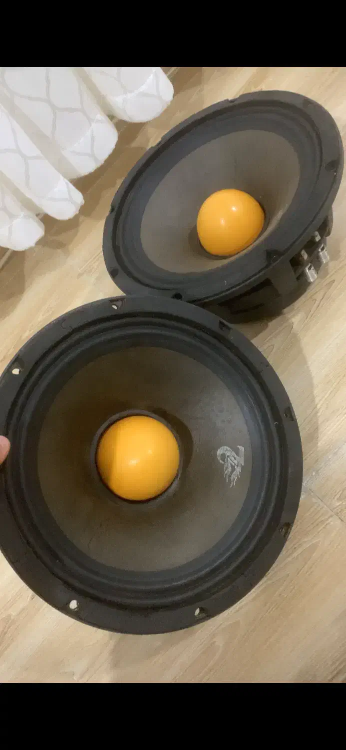 میدرنج گرندزیرو z2 امپلی مونو|قطعات یدکی و لوازم جانبی|کرمانشاه, |دیوار