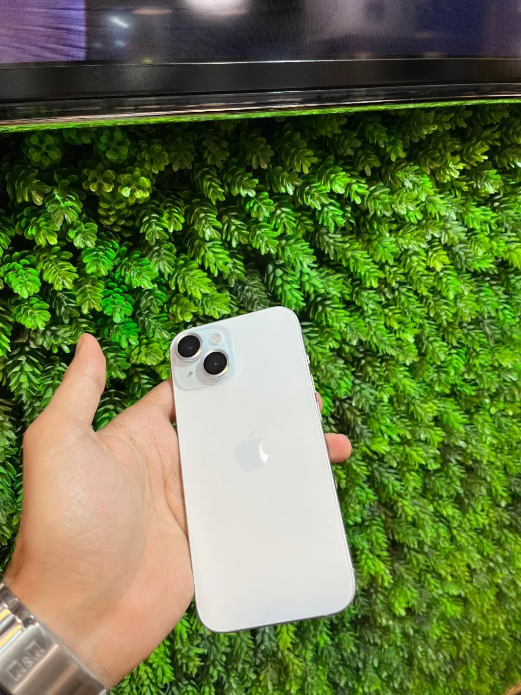 آیفون ۱۵|موبایل|اراک, |دیوار