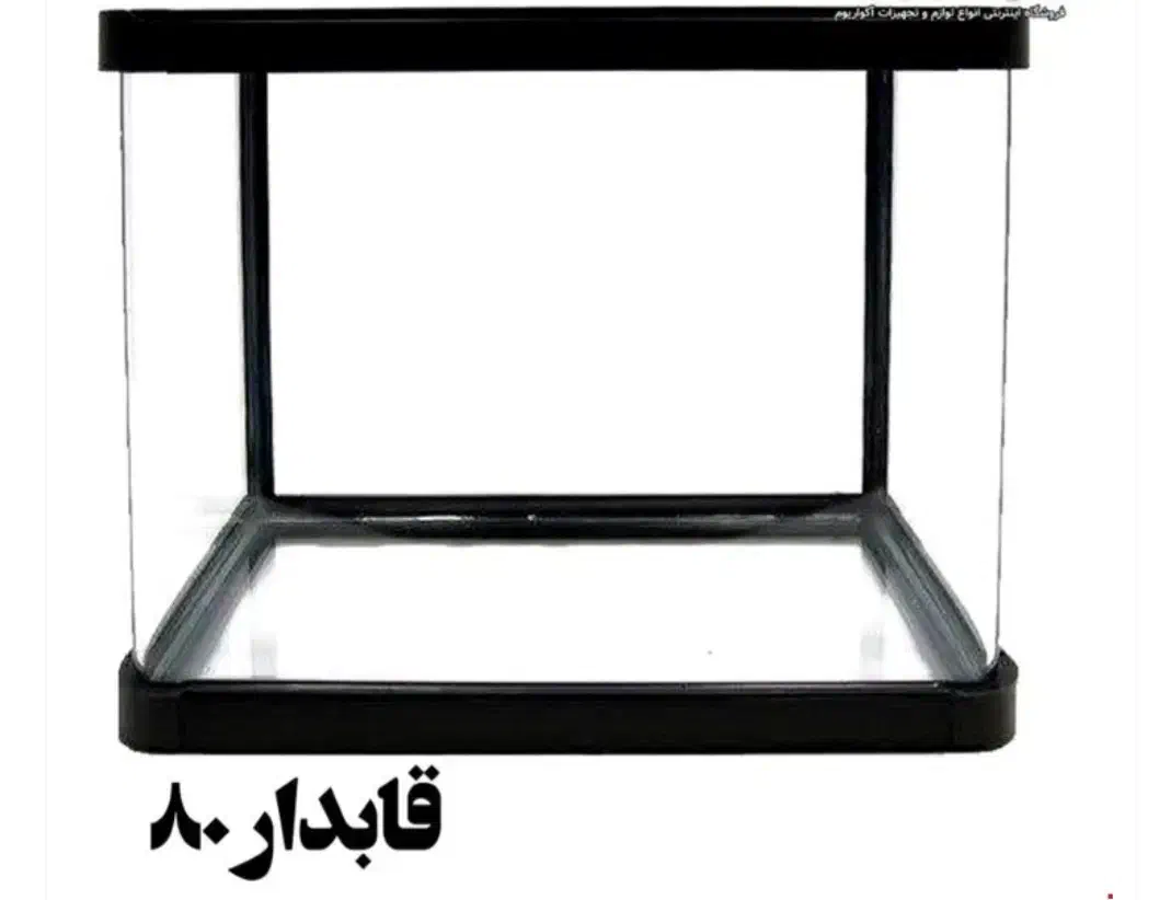 آکواریوم شیشه خم|ماهی|تهران, باغ خزانه|دیوار