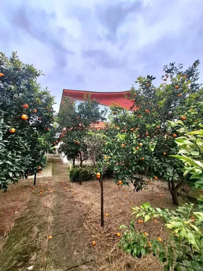 ویلاباغ 2500مترسندتکبرگ پروانه پایانکار فریدونکنار|فروش خانه و ویلا|آستانه سرا, |دیوار