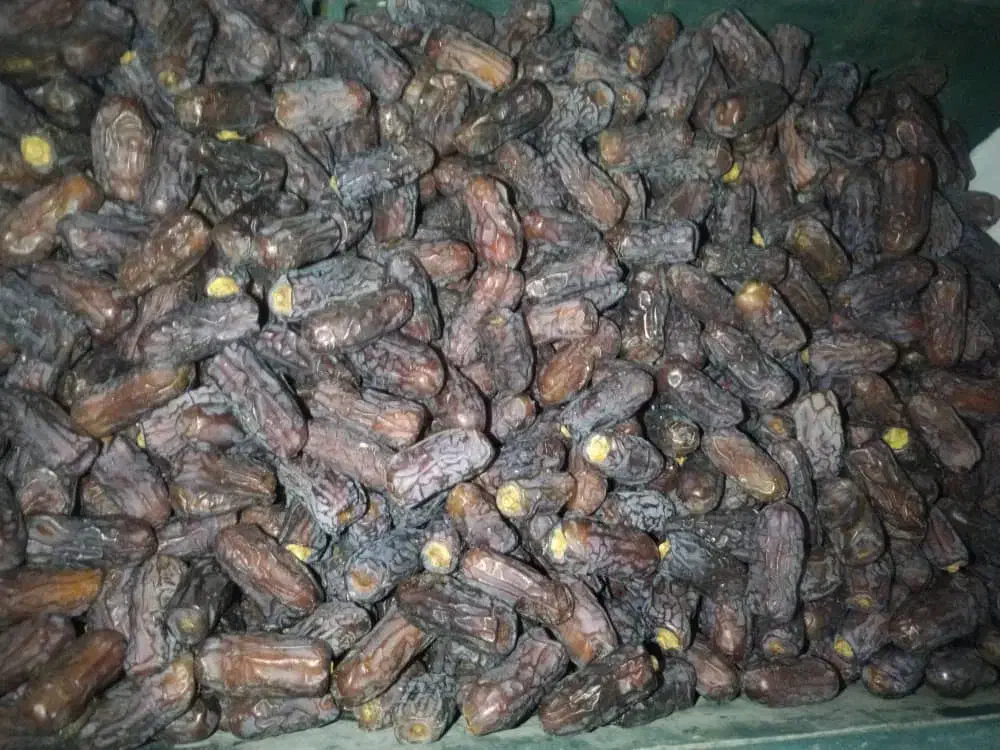 خرمای پیارم باکیفیت|خوردنی و آشامیدنی|تهران, منیریه|دیوار