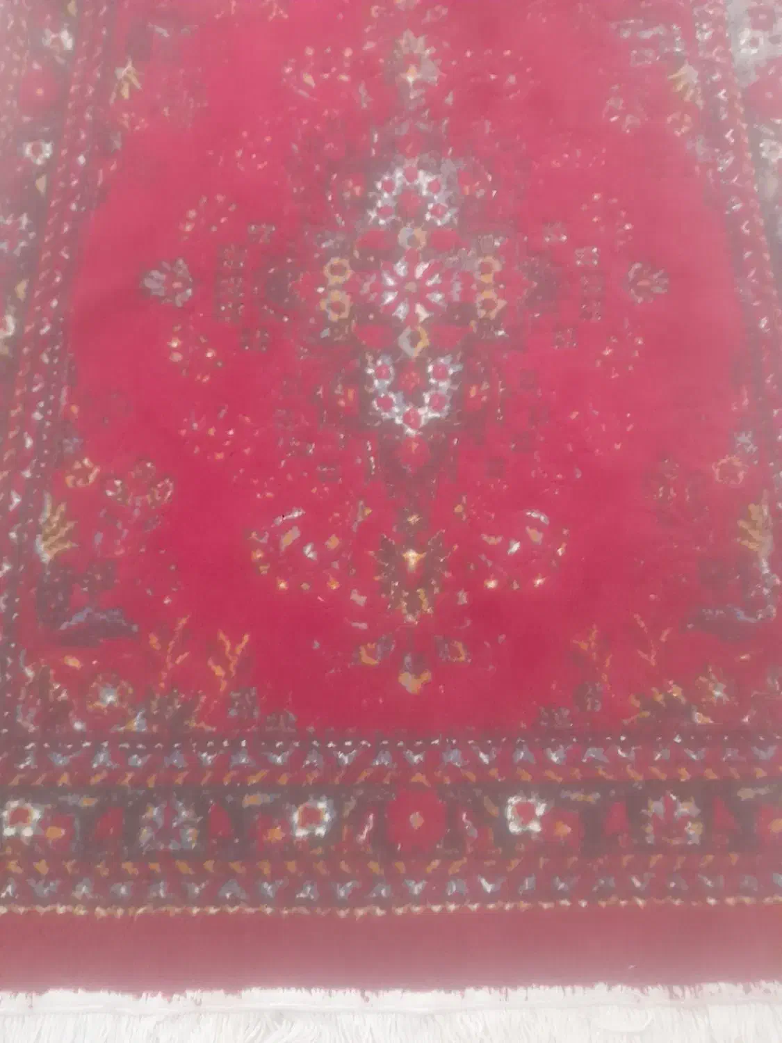 فرش|فرش|ارومیه, |دیوار