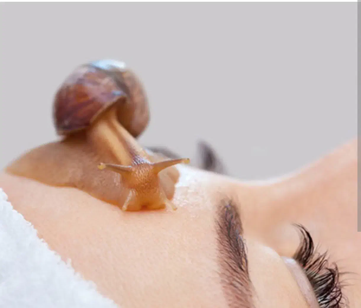 فروش 5 عدد حلزون درمانگر|خزنده|کرج, گلشهر|دیوار