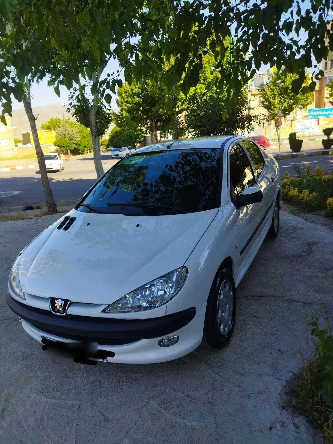 ۲۰۶sd V8|خودرو سواری و وانت|تهران, چیتگر شمالی|دیوار
