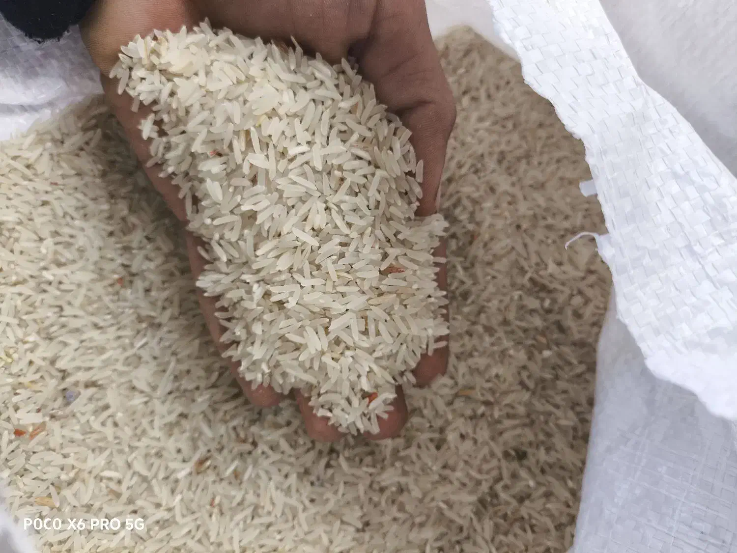 برنج|خوردنی و آشامیدنی|مزرعه کتول, |دیوار