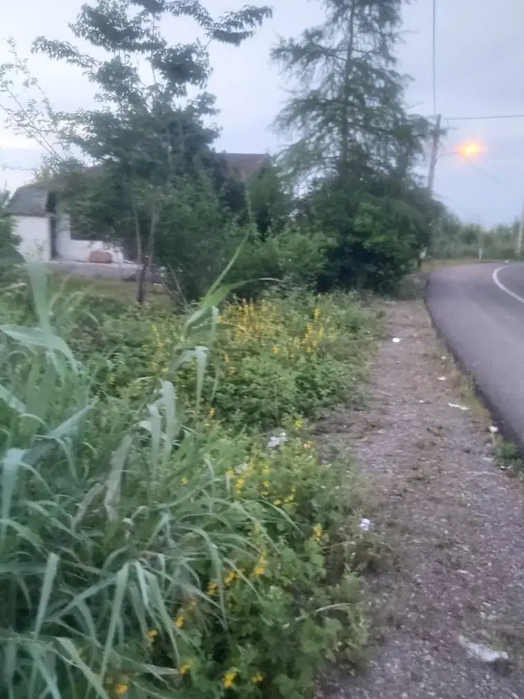 زمین و خانه کلنگی|فروش زمین و ملک کلنگی|شفت, |دیوار