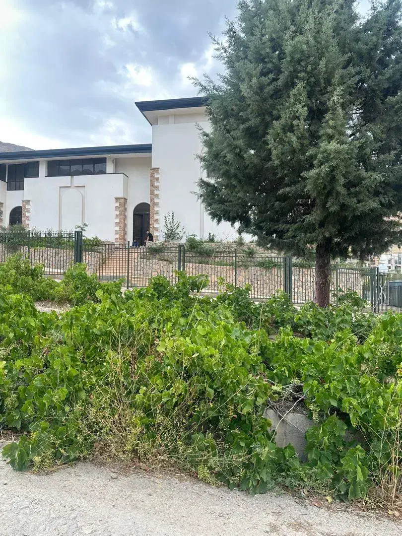 1016متر زمین شهرک آویشن/ احمدآباد / ششدانگ|فروش زمین و ملک کلنگی|دماوند, شهرک آویشن|دیوار