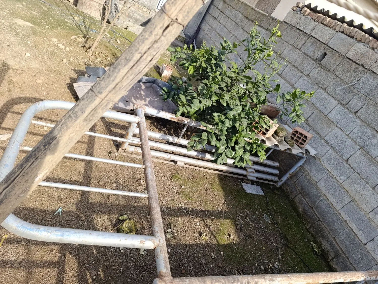باربند|ماشین‌آلات صنعتی|گرگان, |دیوار