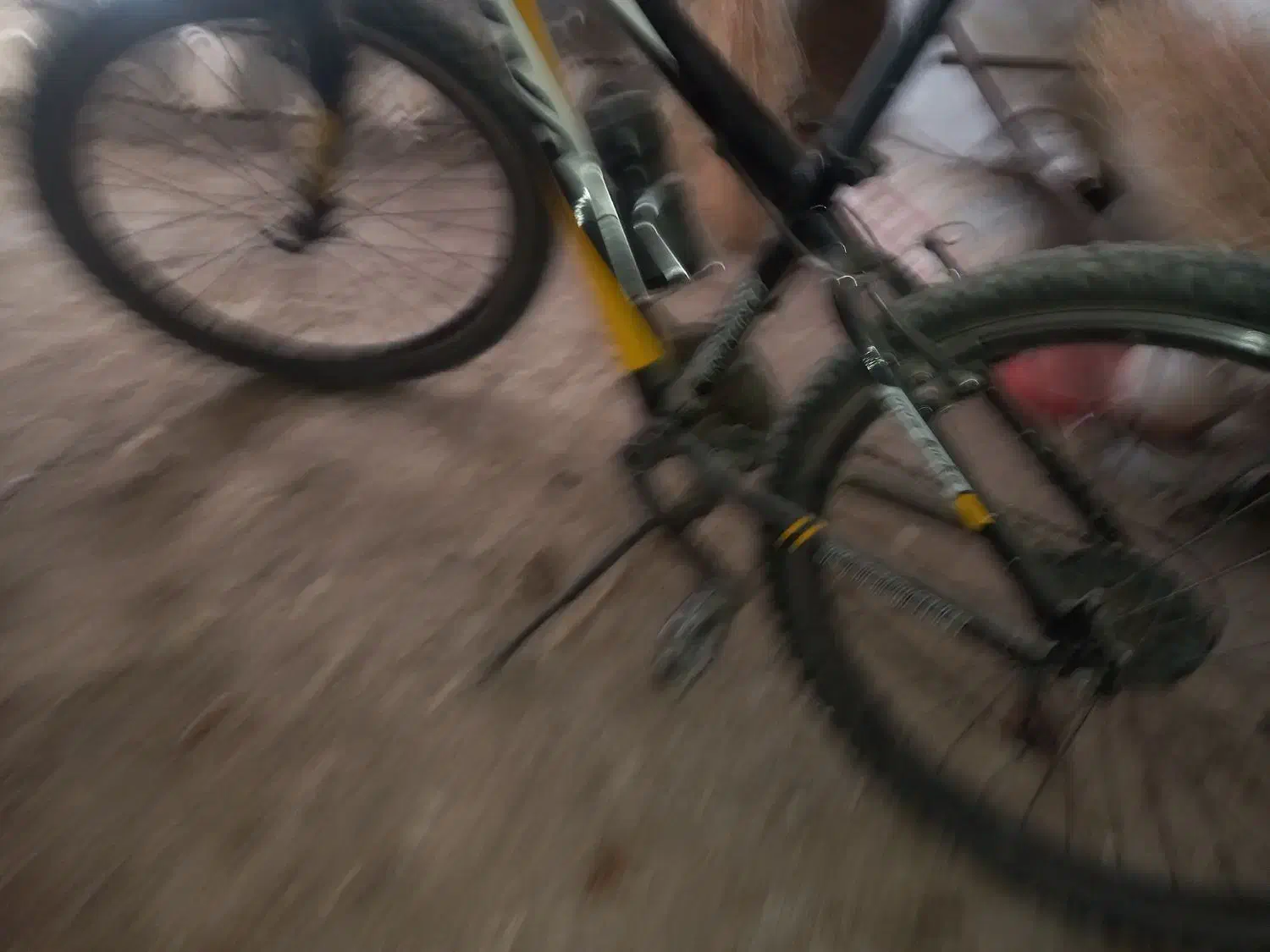 دوچرخه ویوا ورتکس ۲۶|دوچرخه، اسکیت، اسکوتر|الشتر, |دیوار