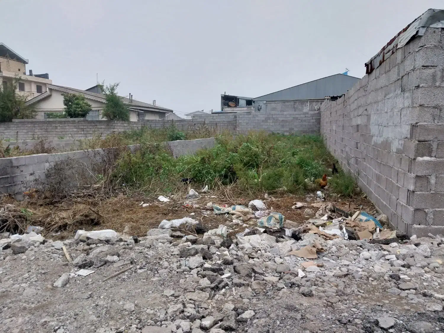 زمین فاز دو گلسار|فروش زمین و ملک کلنگی|رشت, کوی یخ|دیوار