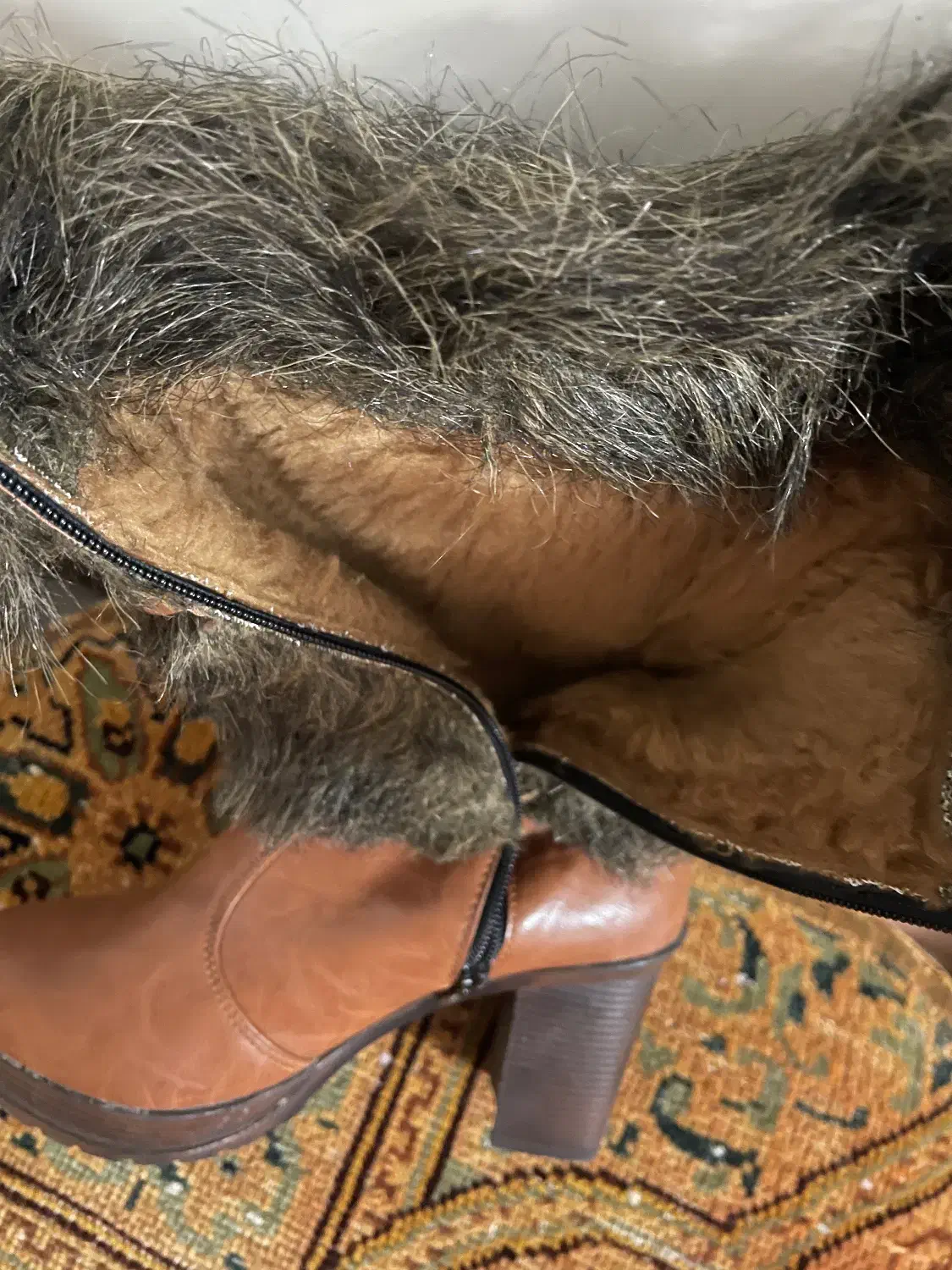 کفش|کیف، کفش، کمربند|تهران, بلوار کشاورز|دیوار