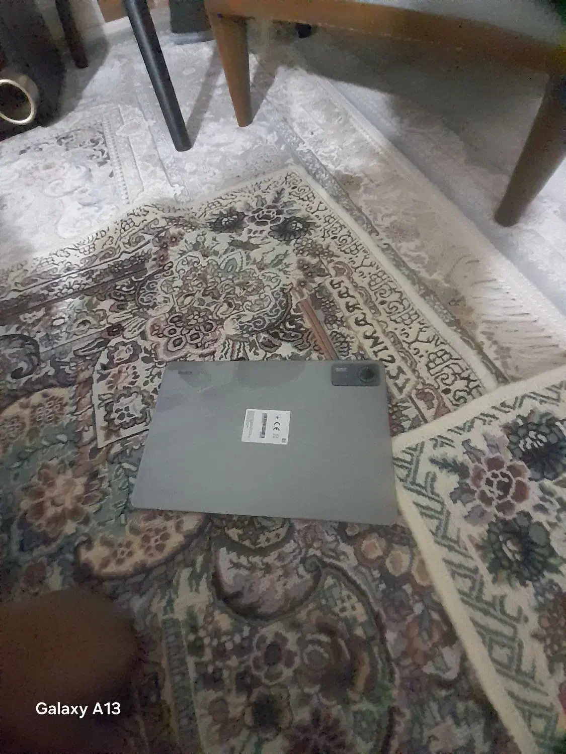 تبلت شیامی|تبلت|کلاله, |دیوار