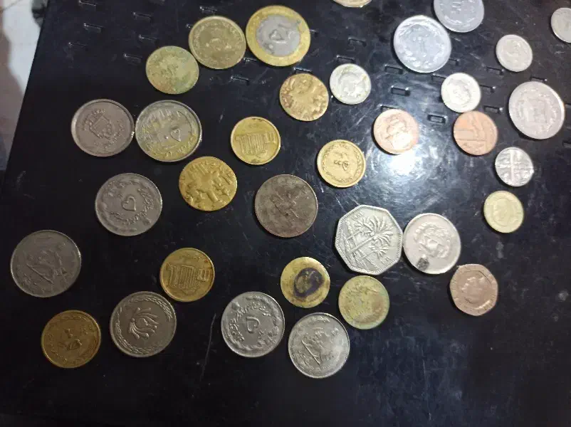 سکه|کلکسیون سکه، تمبر، اسکناس|پرند, فاز ۶|دیوار