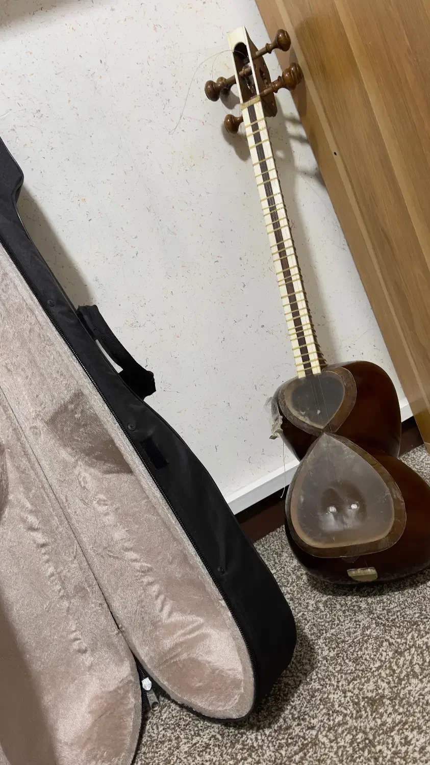 تار،آکبند و درجه یک|سازهای سنتی|بوشهر, |دیوار