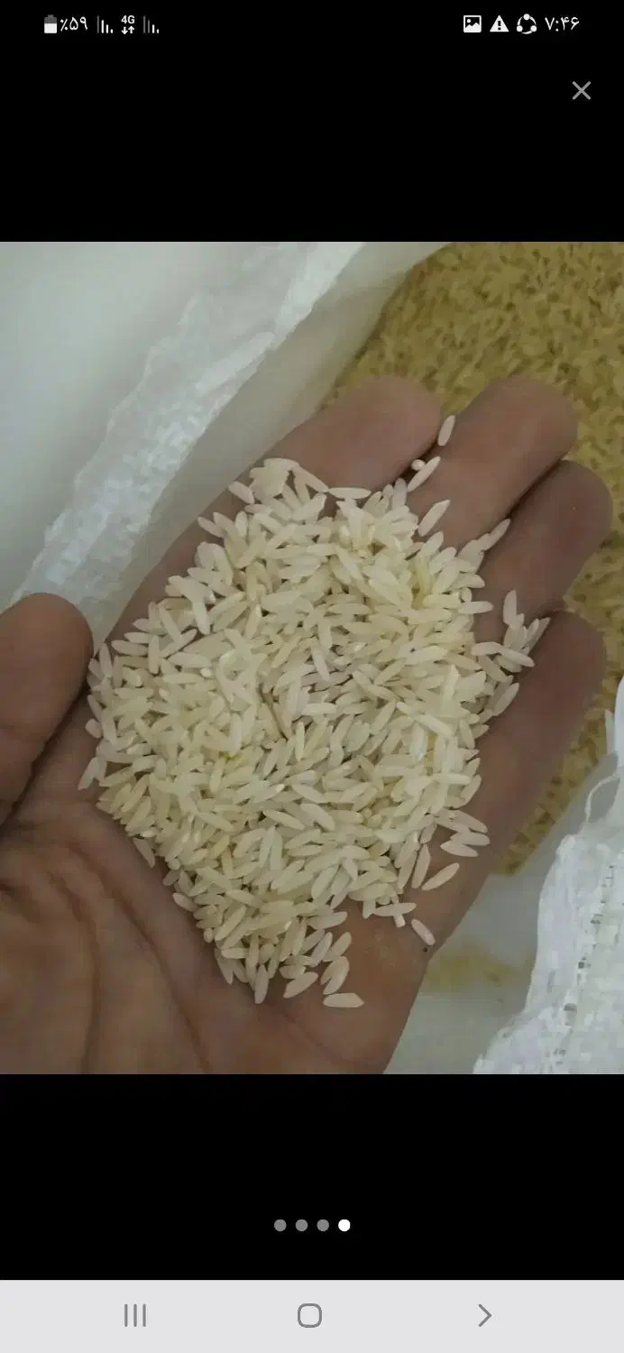 برنج لنجان|خوردنی و آشامیدنی|ریز, |دیوار