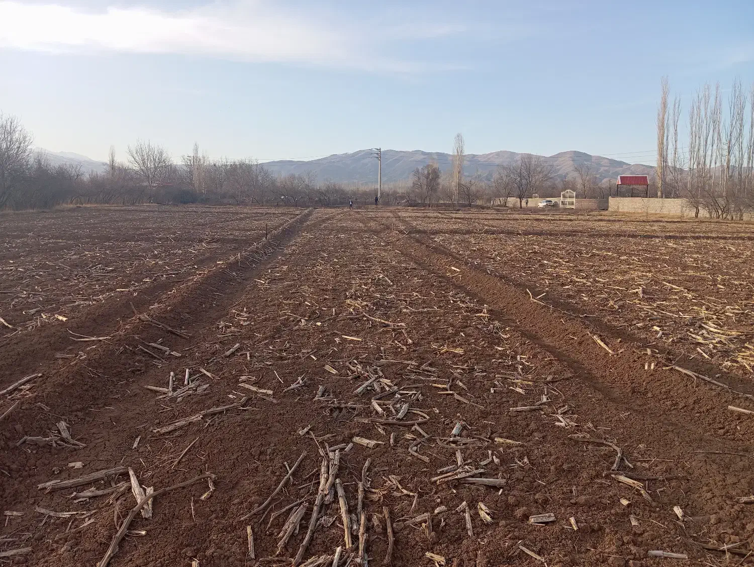 فروش و اجاره زمین کشاورزی|اجارهٔ دفتر صنعتی، کشاورزی، تجاری|فیرورق, |دیوار