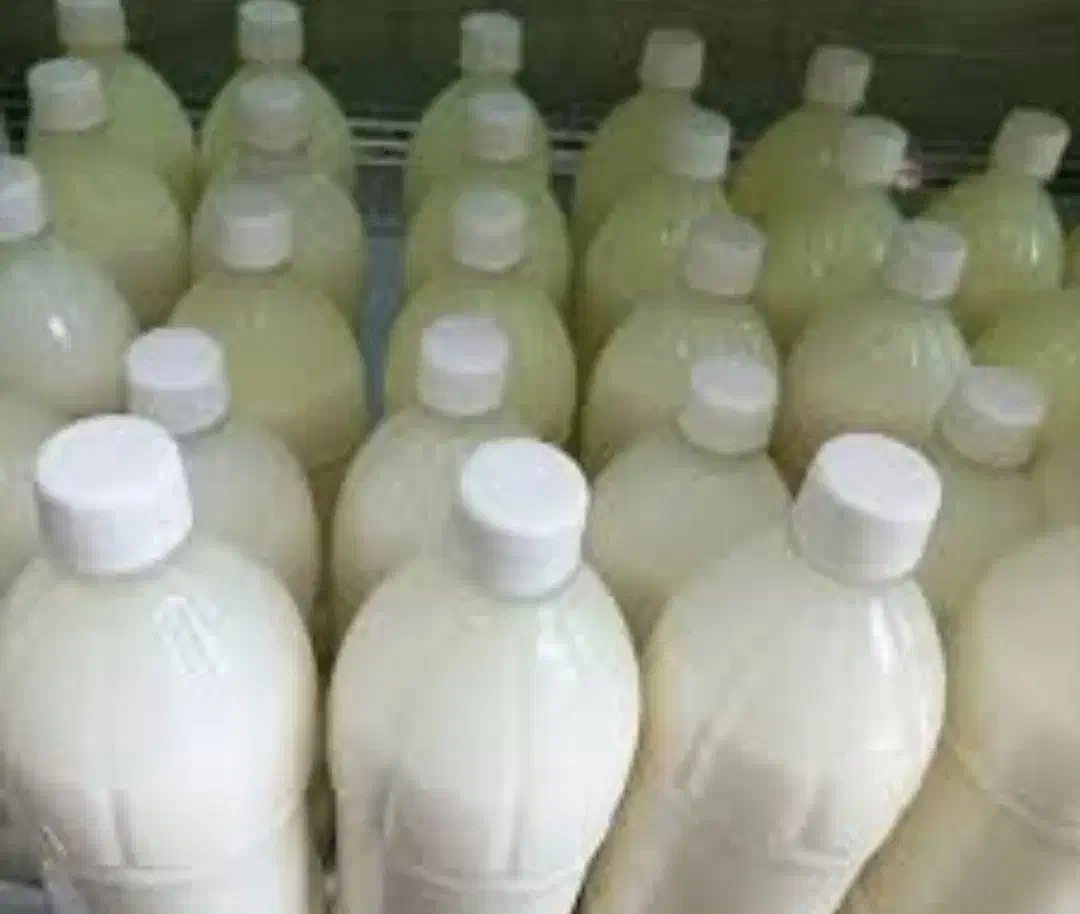 لبنیات محلی|خوردنی و آشامیدنی|تهران, مختاری|دیوار