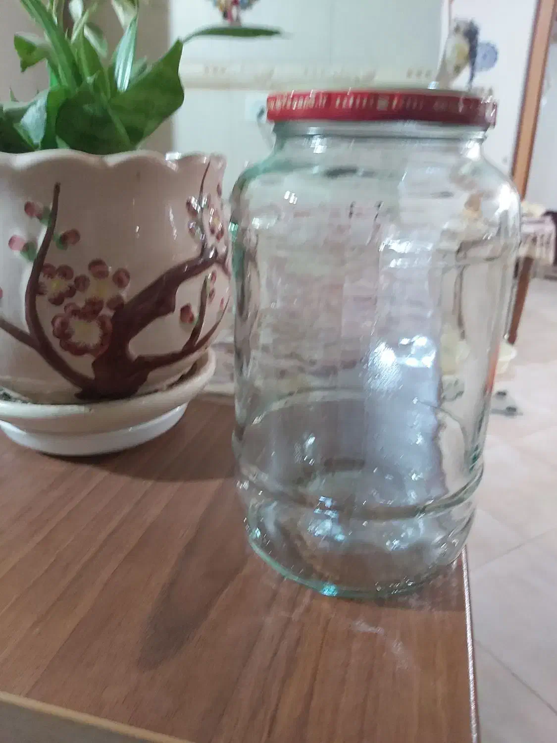 بطری شیشه ای|ظروف نگهدارنده، پلاستیکی، یک‌بارمصرف|قزوین, |دیوار