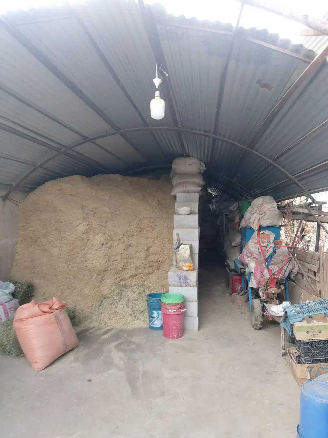 کاه سفید و‌ کاه نخود|حیوانات مزرعه|نجف‌آباد, قلعه سفید|دیوار