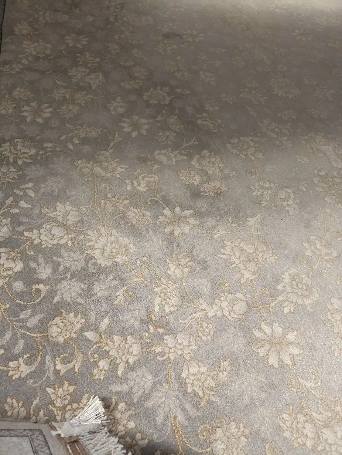 دوتا فرش 6متری 15میلیون نونو|فرش|نورآباد, |دیوار