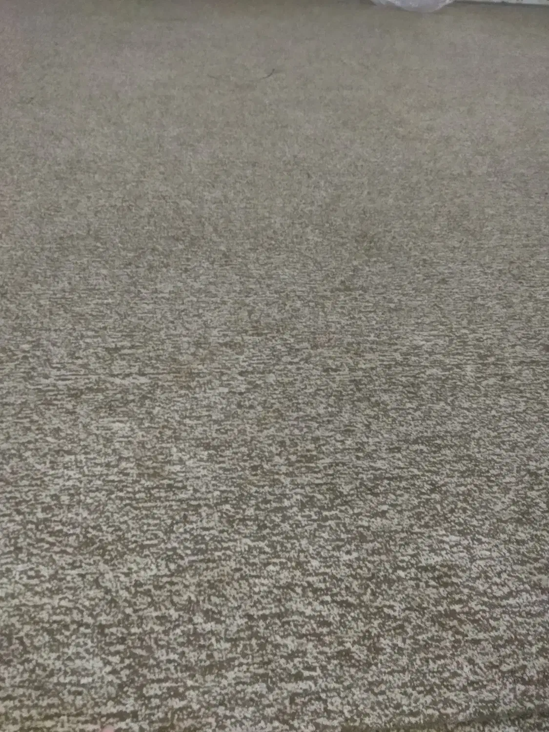 شوش|موکت|کرخه, |دیوار