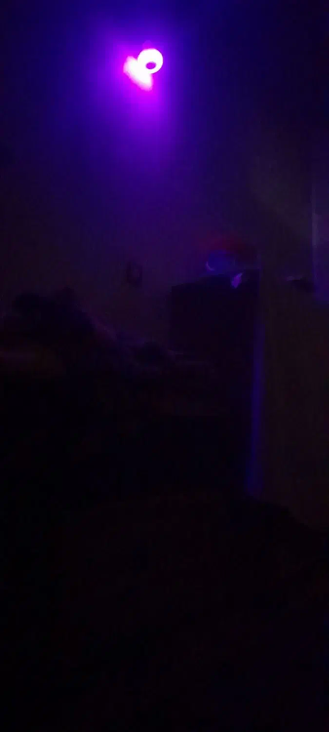 یک عدد اسپیکر لامپی|سیستم صوتی خانگی|نهاوند, |دیوار