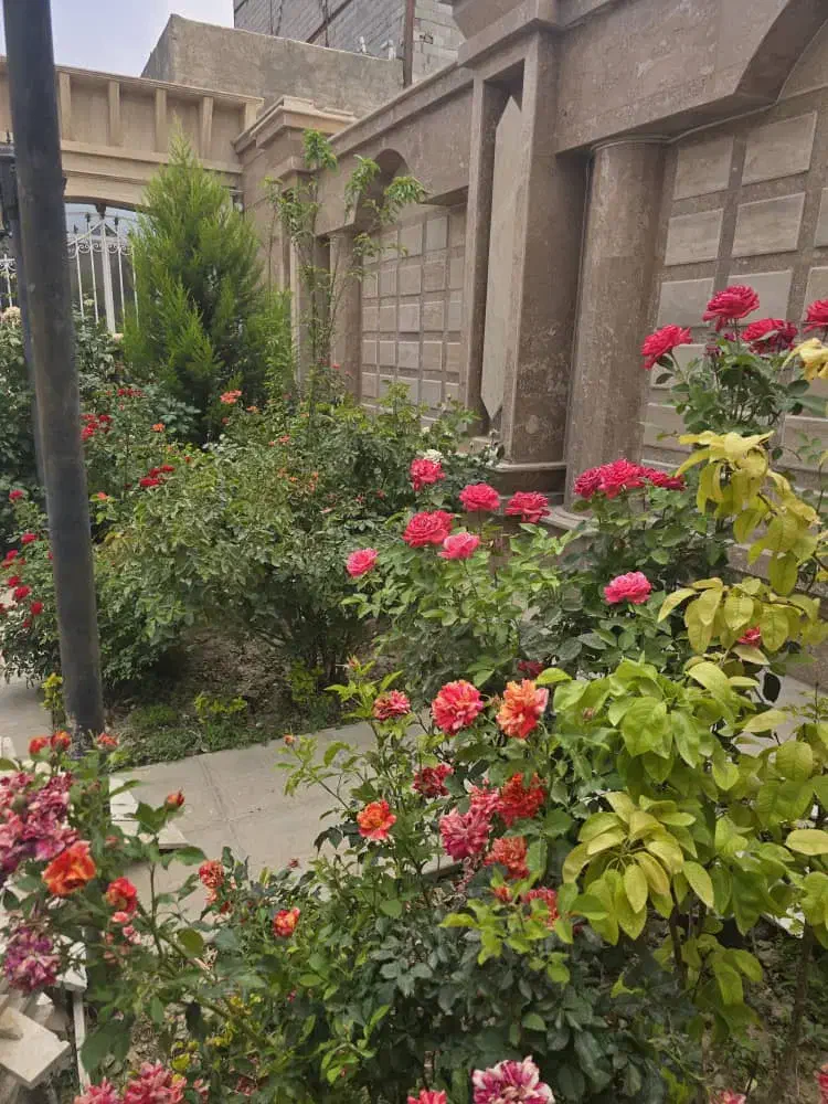 رهن باغ ویلا لاکچری با لوازم|اجارهٔ خانه و ویلا|رباط‌کریم, پیغمبر|دیوار