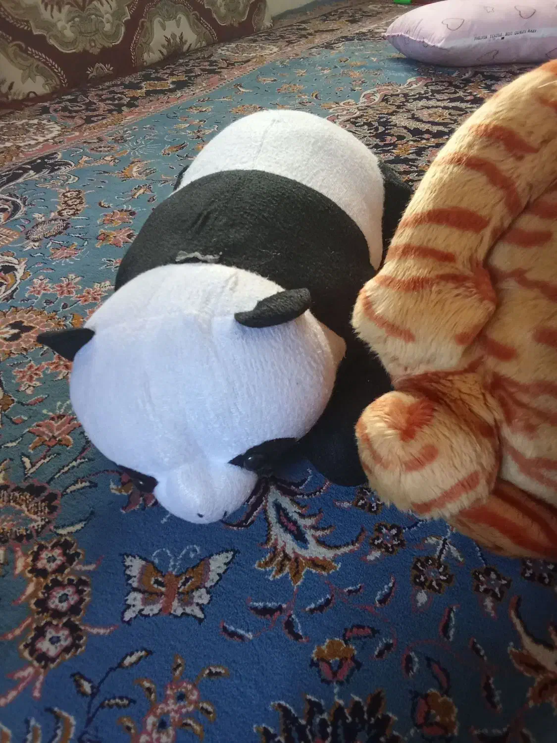 عروسک|اسباببازی بچه|بانه, |دیوار