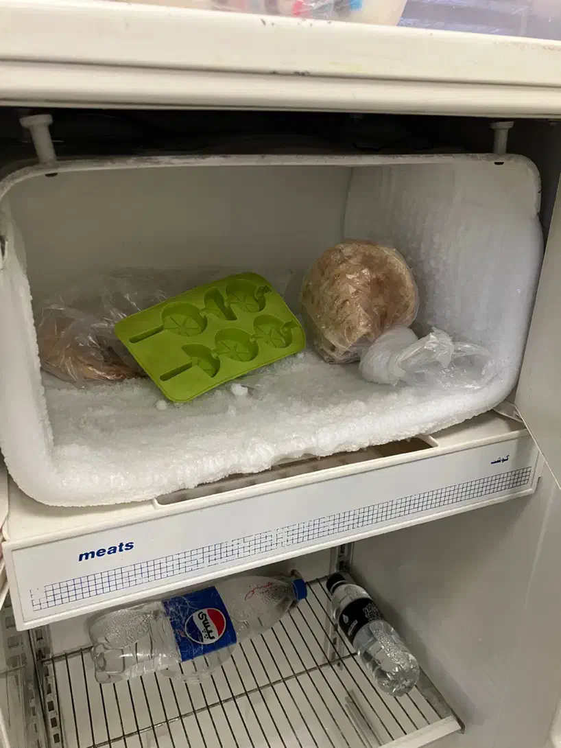 یخچال فریزر|یخچال و فریزر|گلبهار, شهر جدید گلبهار|دیوار