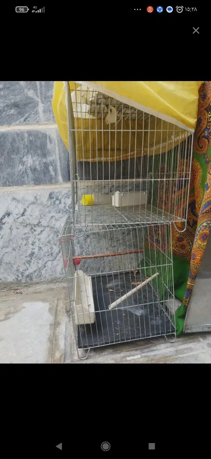 قفس|لوازم جانبی حیوانات|بروجرد, |دیوار