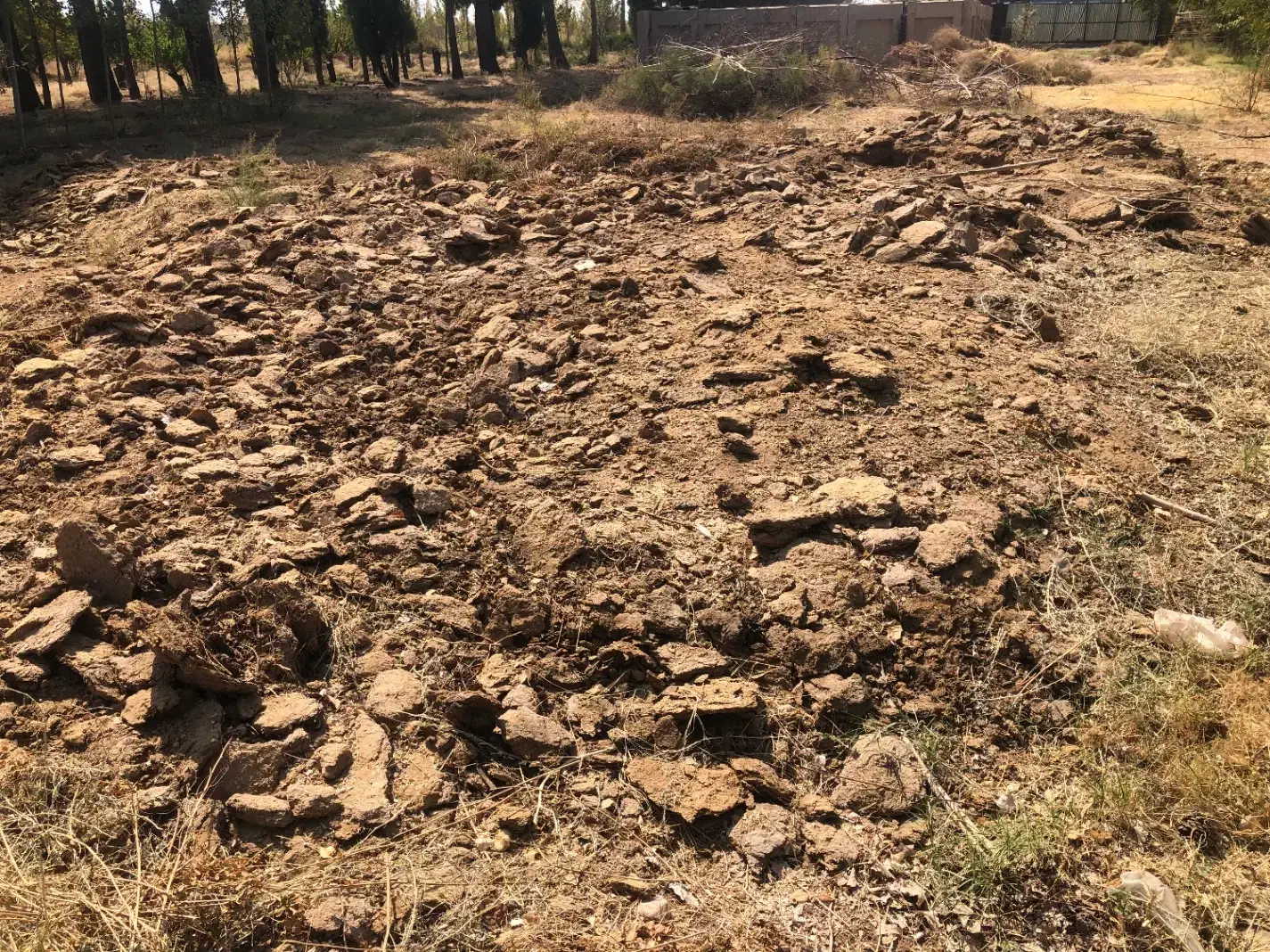 کود گوسفندی|خدمات باغبانی و درختکاری|ماهان, |دیوار