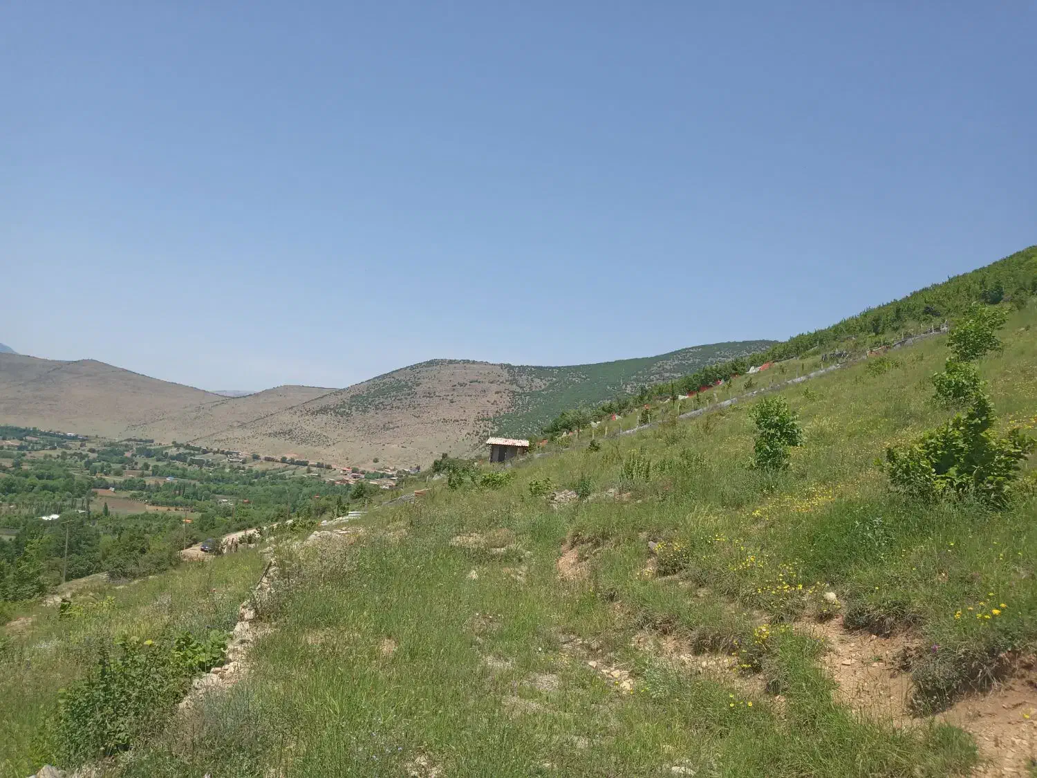 فروش زمین واقع در لرگان نقد و اقساط|فروش زمین و ملک کلنگی|کجور, |دیوار