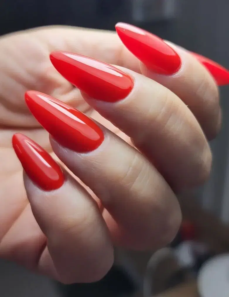 خدمات کاشت ناخن ژل پودر توسط مربی باسابقه درتاچارا|خدمات زیبایی و سلامت|شیراز, تاچارا|دیوار