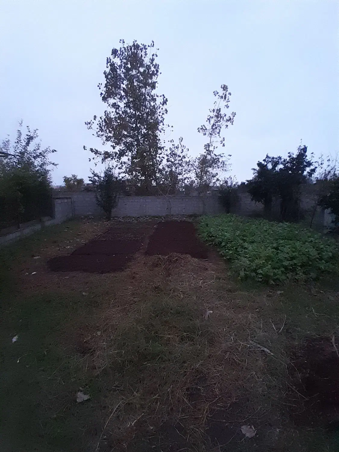 زمین مسکونی کریم محله|فروش زمین و ملک کلنگی|تالش, جوکندان|دیوار
