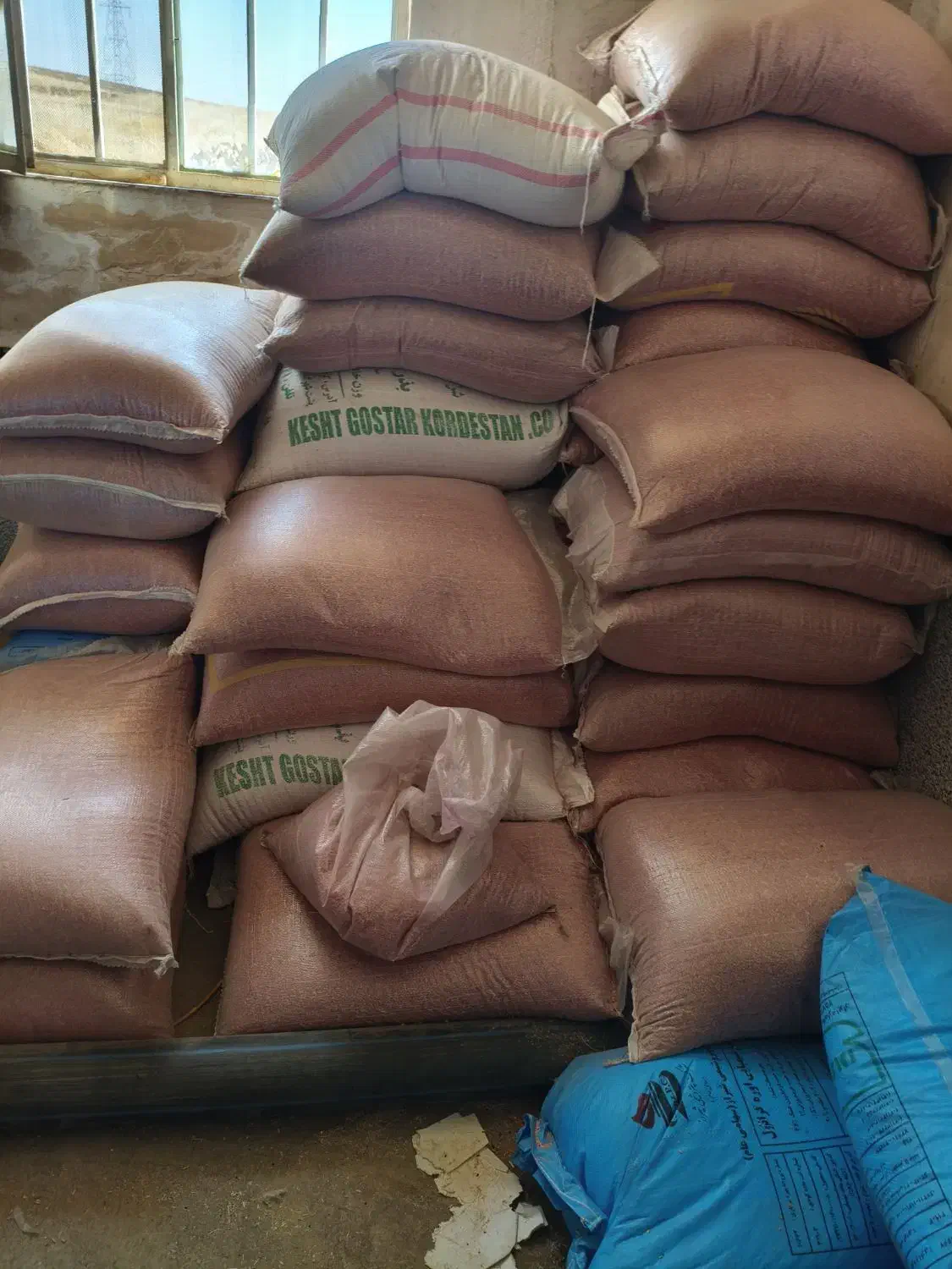 گندم  وآران|خدمات باغبانی و درختکاری|حسین آباد, |دیوار