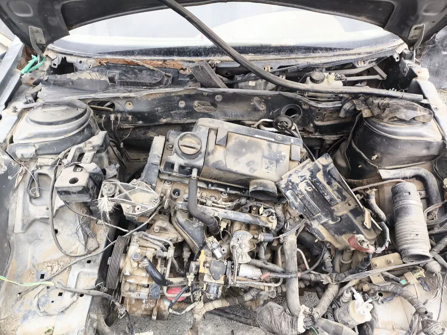 تصادفی پژو مدل ۹۲ تصادفی|خودرو سواری و وانت|تهران, شهرک آپادانا|دیوار