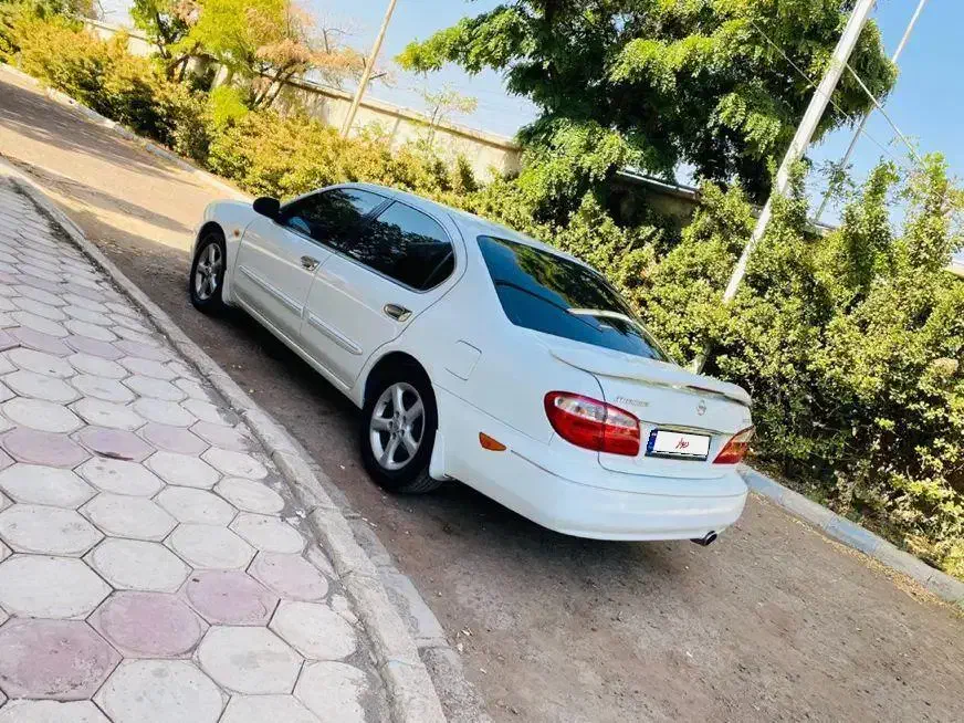 ماکسیما مدل ۱۳۸۹|خودرو سواری و وانت|قزوین, |دیوار