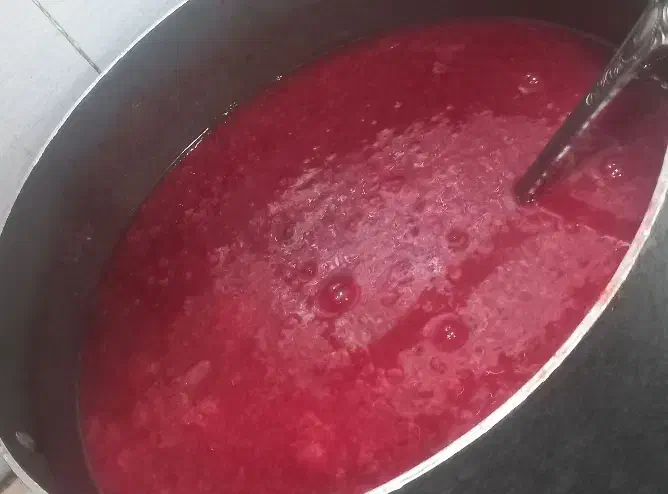آلوچه|خوردنی و آشامیدنی|تهران, امام حسین|دیوار